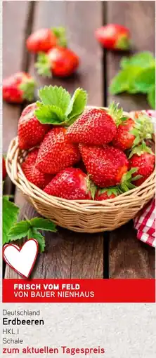 Dornseifer Deutschland Erdbeeren Angebot
