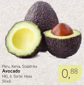 Dornseifer Avocado Angebot
