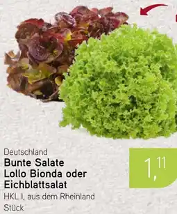 Dornseifer Bunte Salate Lollo Bionda oder Eichblattsalat Angebot