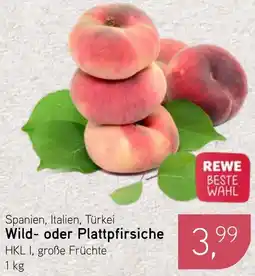 Dornseifer Wild- oder Plattpfirsiche Angebot