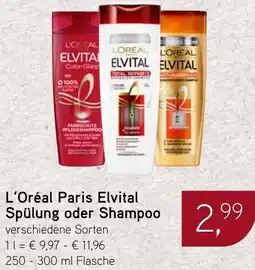 Dornseifer L'Oréal Paris Elvital Spülung oder Shampoo Angebot