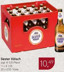 Dornseifer Sester Kölsch Angebot