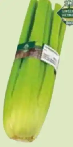 Edeka Unsere Heimat Bio Staudensellerie Angebot