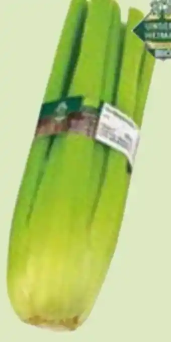 Edeka Unsere Heimat Bio Staudensellerie Angebot