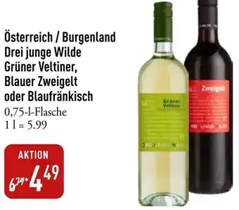 Galeria Markthalle Österreich / Burgenland Drei junge Wilde Grüner Veltiner, Blauer Zweigelt oder Blaufränkisch Angebot