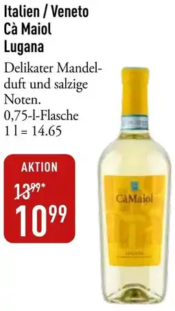 Galeria Markthalle Italien / Veneto Cà Maiol Lugana Angebot