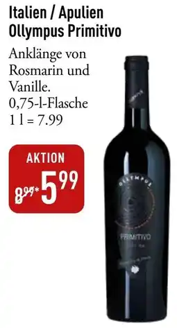 Galeria Markthalle Italien / Apulien Ollympus Primitivo Angebot