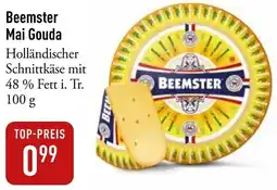Galeria Markthalle Beemster Mai Gouda Angebot