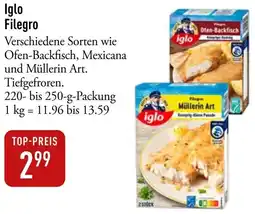 Galeria Markthalle Iglo Filegro Angebot