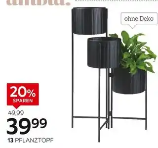 XXXLutz Ambia home pflanztopf Angebot