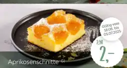XXXLutz Aprikosenschnitte Angebot