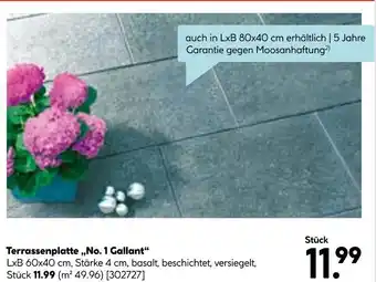 Hellweg Terrassenplatte „no. 1 gallant“ Angebot