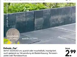 Hellweg Palisade „top“ Angebot