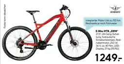 Hellweg E-bike mtb „z898“ Angebot
