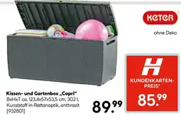 Hellweg Keter kissen- und gartenbox „capri“ Angebot