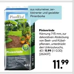 Hellweg Plantiflor pinienrinde Angebot