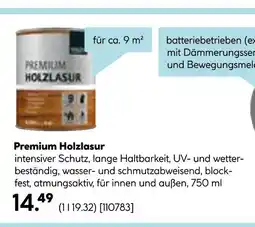 Hellweg Premium holzlasur Angebot