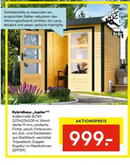 Hellweg Hybridhaus jupiter Angebot