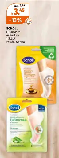 Müller Scholl Angebot