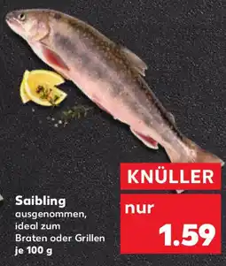 Kaufland Saibling Angebot