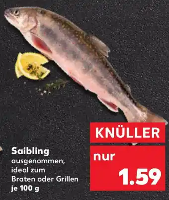 Kaufland Saibling Angebot