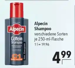 CITTI Markt Alpecin Shampoo Angebot