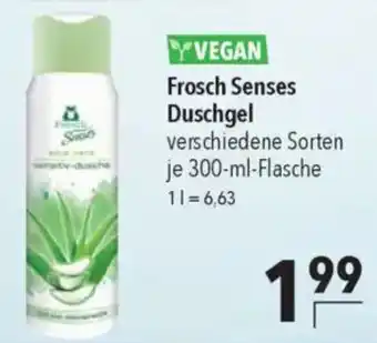 CITTI Markt Frosch Senses Duschgel Angebot