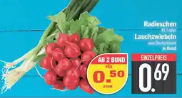 E-Center Radieschen oder Lauchzwiebeln Angebot
