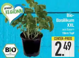 E-Center Bio- Basilikum XXL Angebot