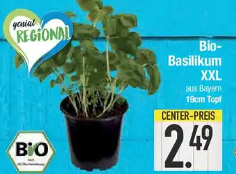 E-Center Bio- Basilikum XXL Angebot