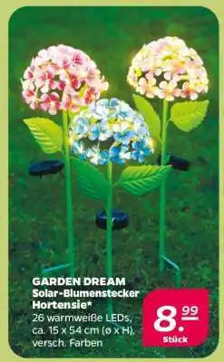 NETTO GARDEN DREAM Solar Blumenstecker Hortensie Angebot