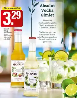 WEZ Monin Sirup Angebot