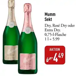Galeria Markthalle Mumm Sekt Angebot