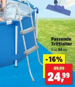 Thomas Philipps Passende Trittleiter Angebot