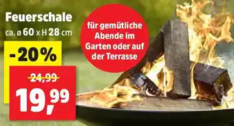 Thomas Philipps Feuerschale Angebot