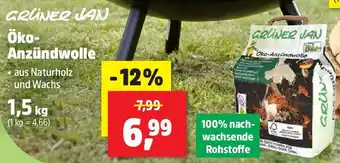 Thomas Philipps GRÜNER JAN Öko Anzündwolle Angebot