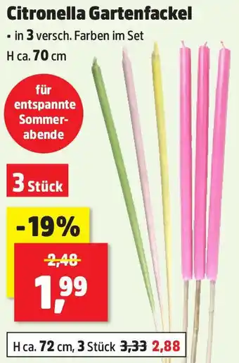 Thomas Philipps Citronella Gartenfackel Angebot