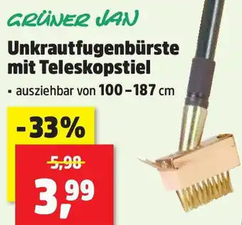 Thomas Philipps GRÜNER JAN Unkrautfugenbürste mit Teleskopstiel Angebot