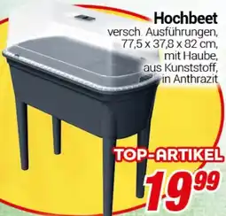 CENTERSHOP Hochbeet Angebot