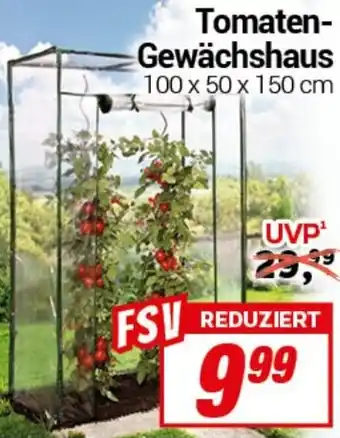 CENTERSHOP Tomaten Gewächshaus Angebot