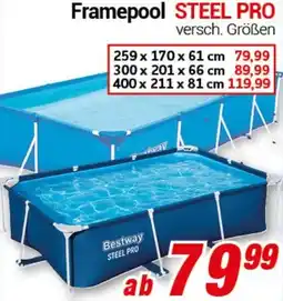 CENTERSHOP Bestway Framepool STEEL PRO Angebot