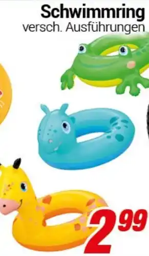 CENTERSHOP Schwimmring Angebot