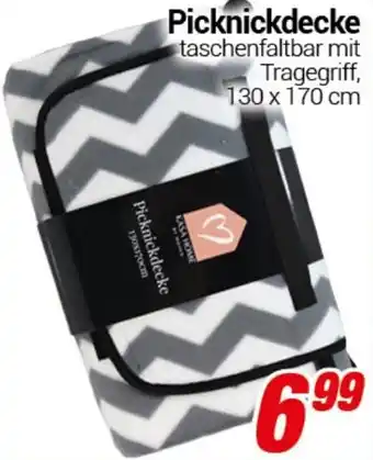 CENTERSHOP Picknickdecke Angebot