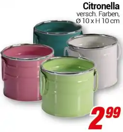 CENTERSHOP Citronella Angebot