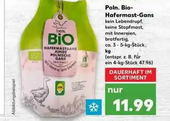 Kaufland Bio-hafermast-gans Angebot