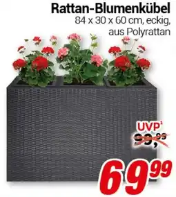 CENTERSHOP Rattan-Blumenkübel Angebot