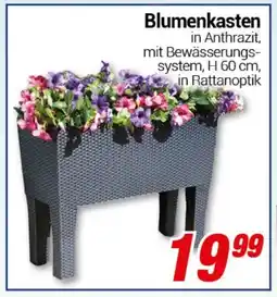 CENTERSHOP Blumenkasten Angebot