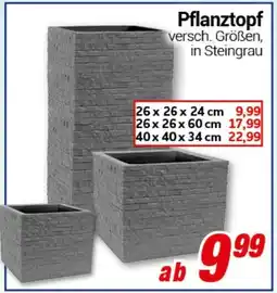 CENTERSHOP Pflanztopf Angebot