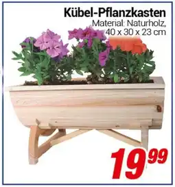 CENTERSHOP Kübel-Pflanzkasten Angebot