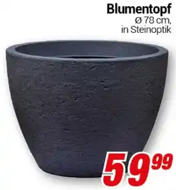 CENTERSHOP Blumentopf Angebot